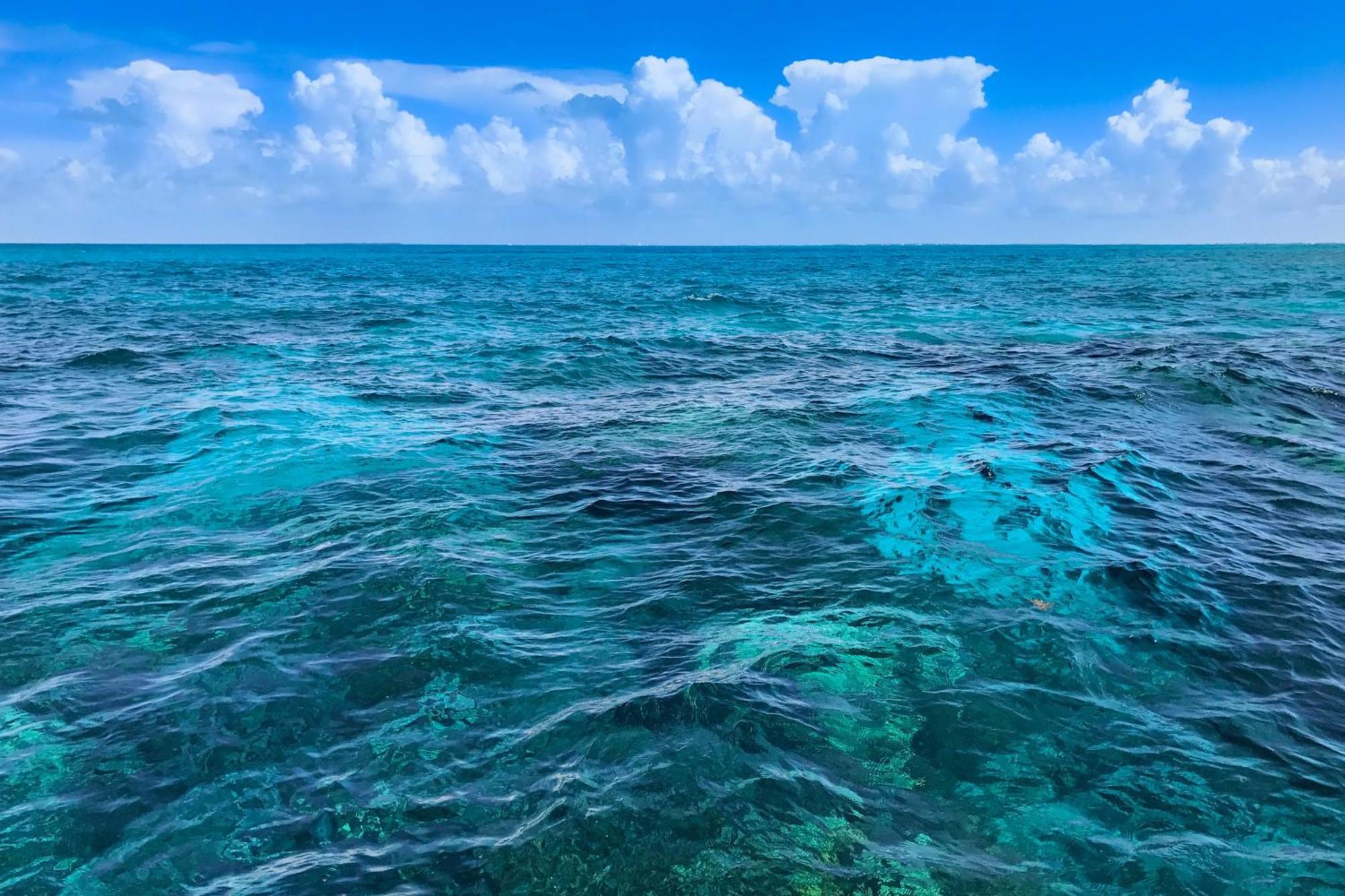 Sunrise Suites - Sea Breeze Suite 101 Key West Cameră foto